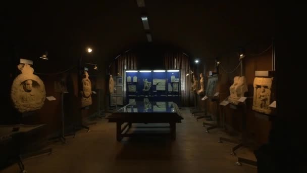 Artefacten Historische Overblijfselen Het Uniemuseum — Stockvideo