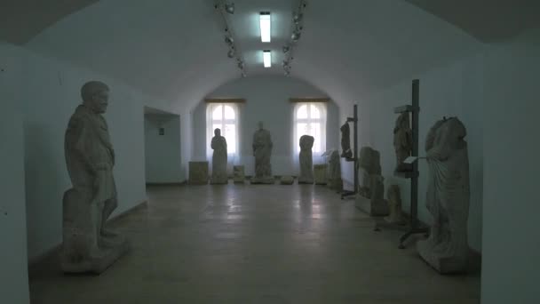 Statuen Und Skulpturen Union Museum — Stockvideo