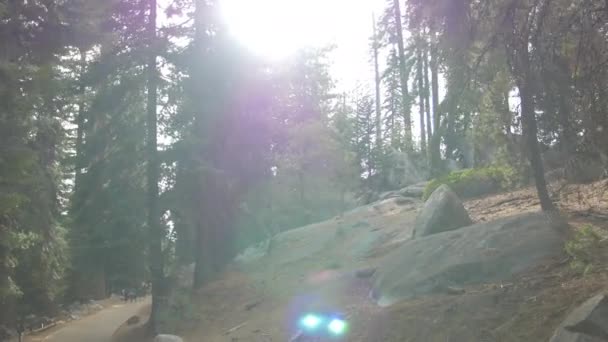 Dealul Stâncos Într Pădure — Videoclip de stoc