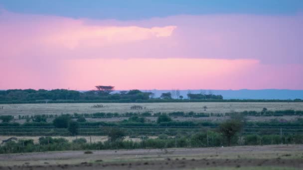 Timelapse Maasai Mara Atardecer — Vídeos de Stock