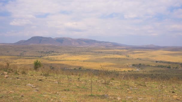 Maasai Mara Paisagem Natural — Vídeo de Stock