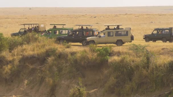 Safari Auta Turisty Masai Mara — Stock video