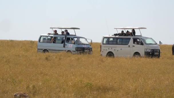 View Cars Tourists — Stock Video