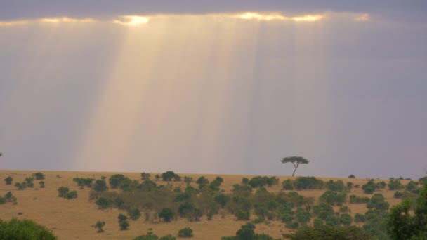 Día Nublado Reserva Nacional Maasai Mara — Vídeos de Stock