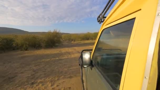Dirigir Carro Maasai Mara National Reserve — Vídeo de Stock