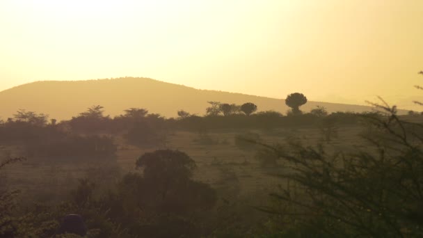 Zonsopgang Boven Masai Mara — Stockvideo