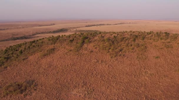 Luchtfoto Van Een Heuvel Masai Mara — Stockvideo