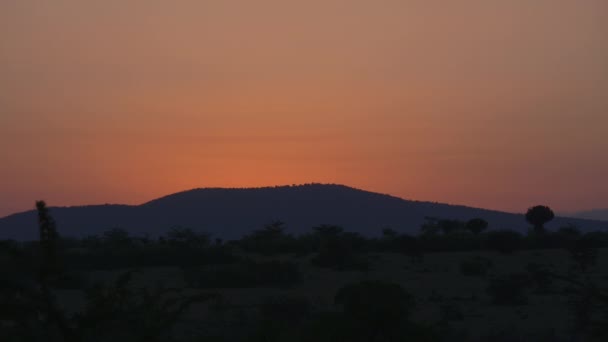 Dawn Masai Mara — Stock Video