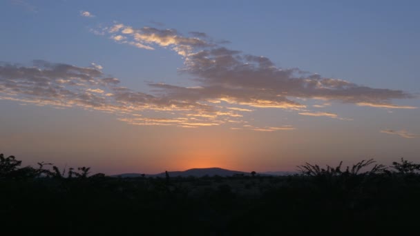 Dawn Maasai Mara National Reserve — Stock Video