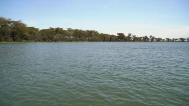 Costa Lago Naivasha — Vídeo de Stock