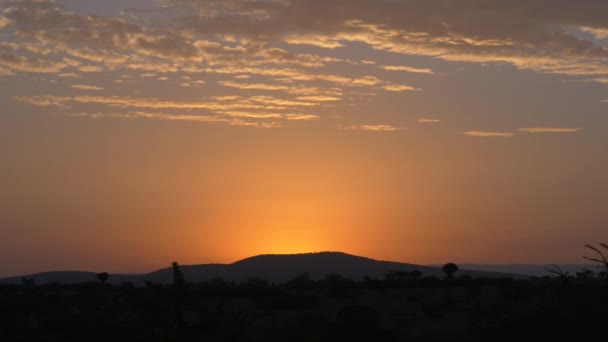 Morgenlandschap Maasai Mara — Stockvideo