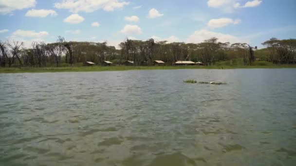 Domy Pobliżu Jeziora Naivasha — Wideo stockowe