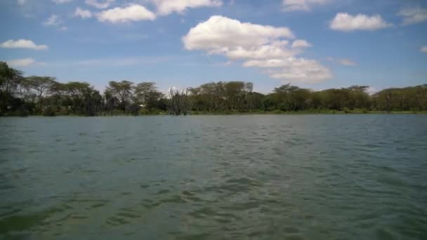 ケニアのナイバシャ湖の眺め — ストック動画