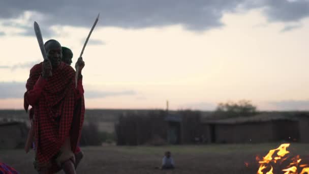 마사이족 남자가 나무를 — 비디오