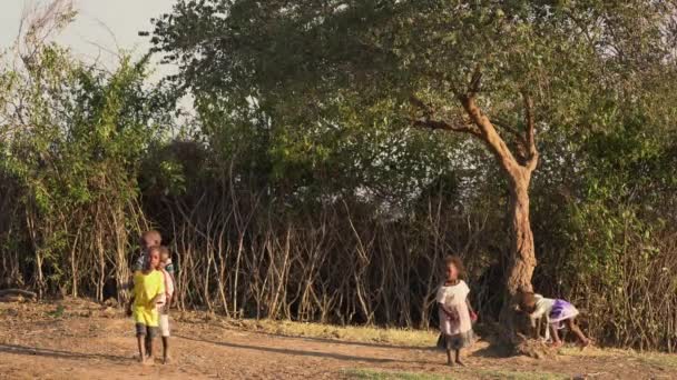 Maasai Girls Boys — Stock Video