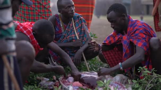 African Men Removing Organs Goat — Stock Video