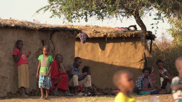 Maasai Adultos Crianças — Vídeo de Stock
