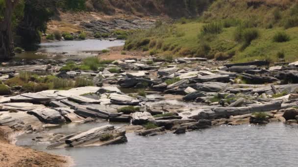 Río Con Rocas Masai Mara — Vídeo de stock
