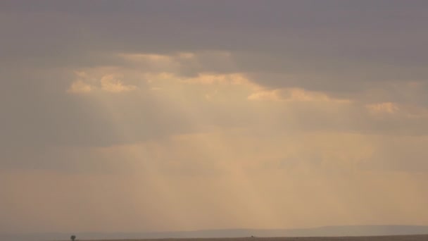 Masai Mara Een Bewolkte Dag — Stockvideo