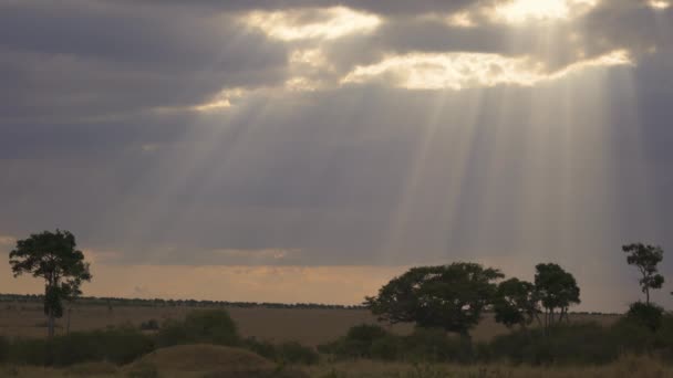 Afrika Savanasında Bulutların Arasından Gün Işığı — Stok video