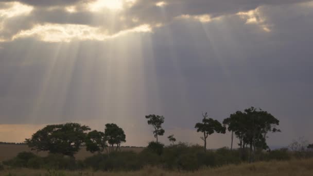 Sun Shining Clouds — Stock Video