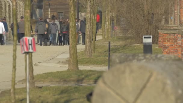 Mensen Die Een Onverharde Weg Lopen — Stockvideo