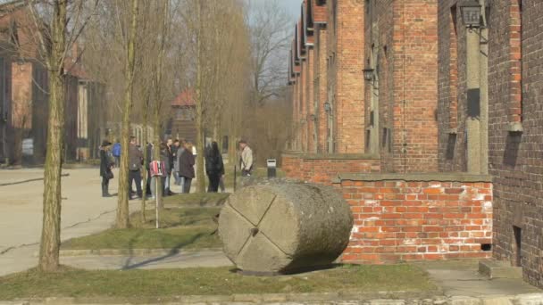 Auschwitz Kamp Avlusundan Sola Dön — Stok video