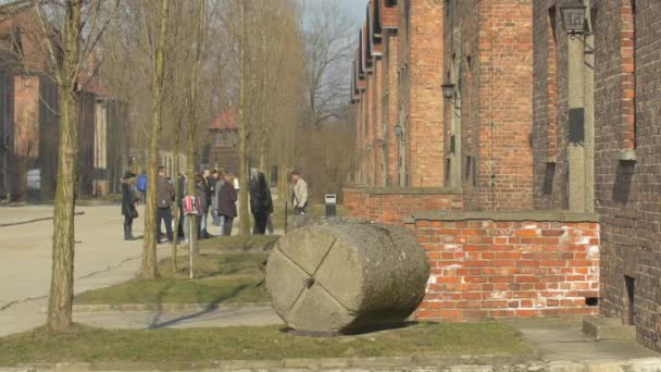 Пан Зліва Від Аушвіца — стокове відео