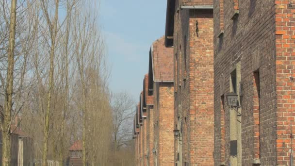 Gebouwd Van Blokken Een Rij Auschwitz — Stockvideo