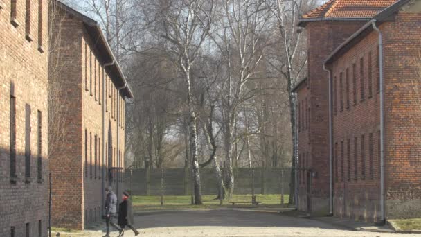 Rode Blokken Bij Auschwitz Birkenau — Stockvideo