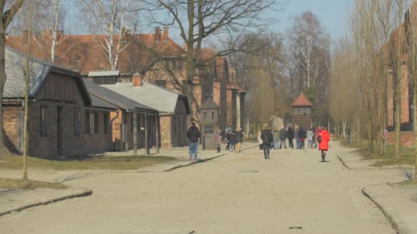 Staatsmuseum Auschwitz Birkenau Bezoeken — Stockvideo