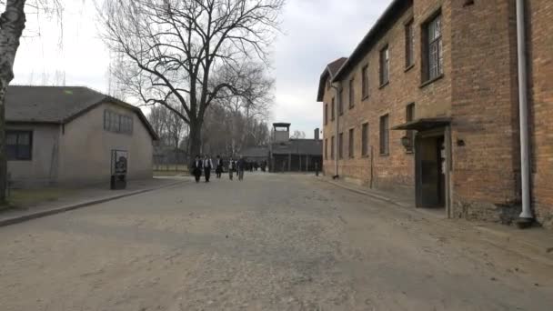 Besuch Auschwitz Birkenau Polen — Stockvideo