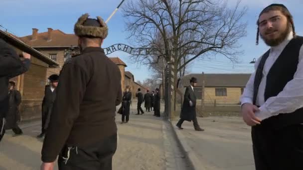 Arbeit Macht Frei门的犹太人 — 图库视频影像