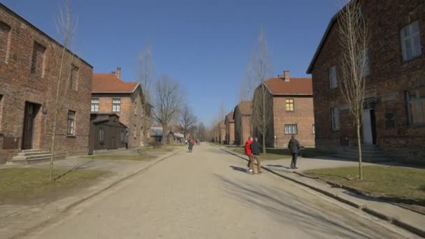 Een Wandeling Door Auschwitz — Stockvideo