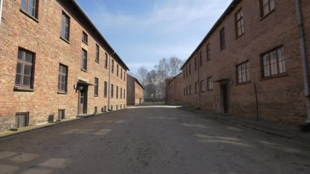 Beco Terra Entre Blocos Vermelhos Auschwitz — Vídeo de Stock