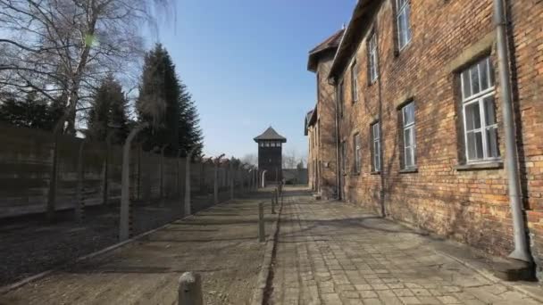 Gepflasterte Allee Mit Stacheldrahtzaun — Stockvideo