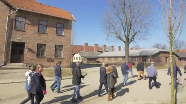 Visitar Campo Auschwitz Concepto Histórico — Vídeos de Stock