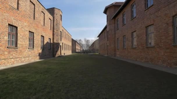 Алея Між Червоними Блоками Освенцімі — стокове відео