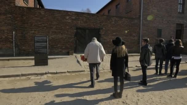 Sobreviviente Regresando Auschwitz — Vídeo de stock