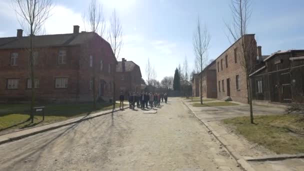 Schoolgroep Bezoek Auschwitz — Stockvideo