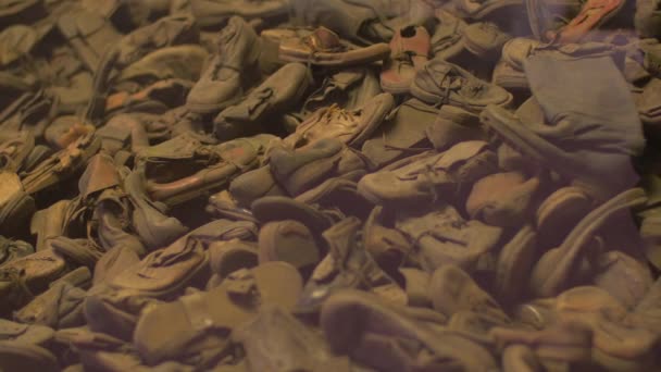 Куча Обуви Освенциме — стоковое видео