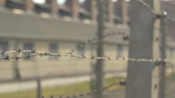 Close Barbed Wire Trembling — Stock Video