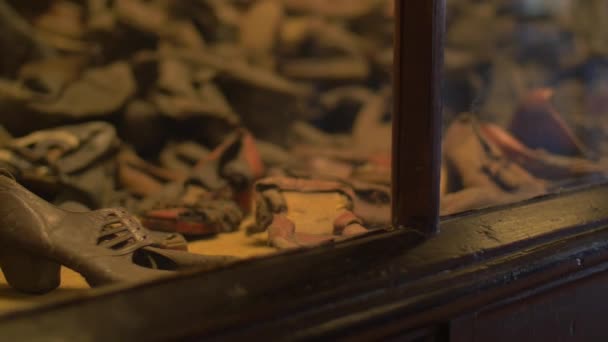 Chaussures Pour Victimes Juives Musée Auschwitz — Video