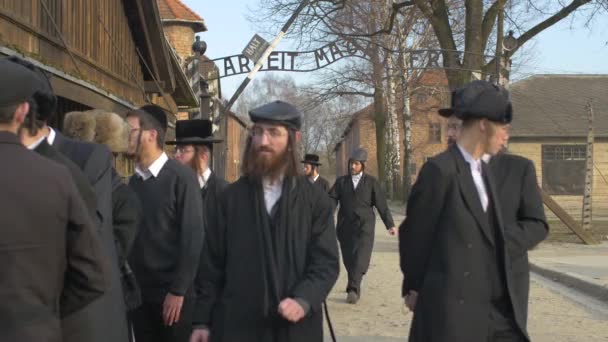 Groep Joden Bezoek Auschwitz — Stockvideo