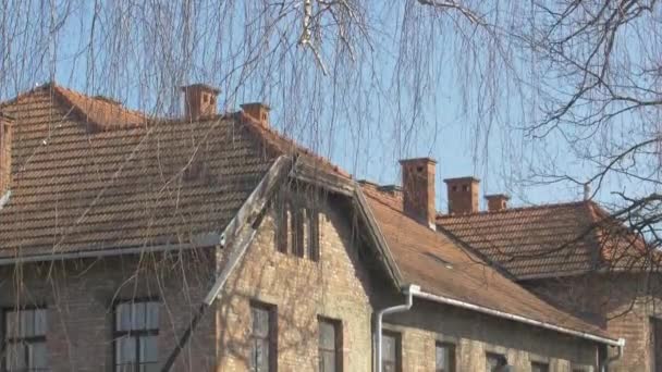 Gebouwd Van Arbeit Macht Frei Poort — Stockvideo