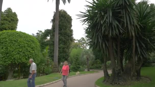 公園を歩く人々 — ストック動画