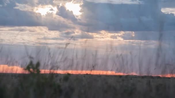 Timelapse Maasai Mara Tramonto — Video Stock