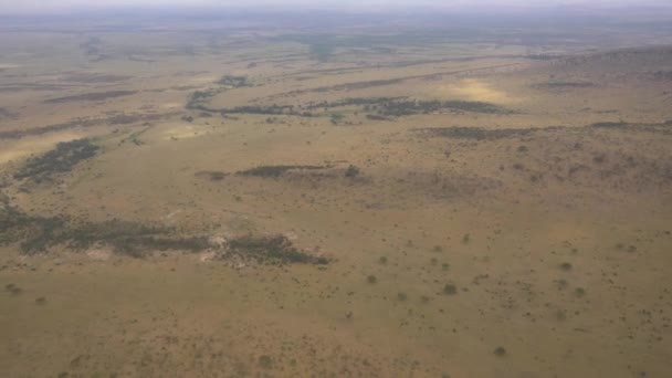 Masai Mara Ebene Während Eines Fluges Gesehen — Stockvideo