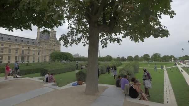อนคลายในสวน Tuileries — วีดีโอสต็อก