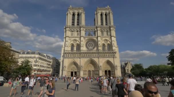 Paris Teki Notre Dame Katedrali — Stok video